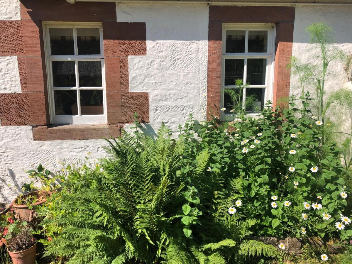Laundry Cottage Dumfries Exterior foto